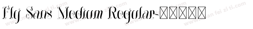Fly Sans Medium Regular字体转换